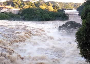 Foto: Júnior Cardoso / PIRANOT