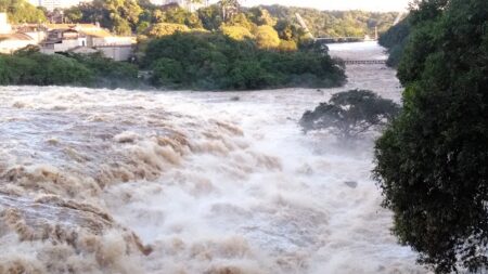 Até maio, 280 mil alevinos vão repovoar as águas do Rio Piracicaba