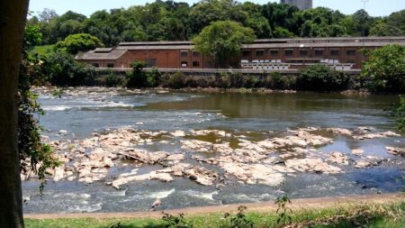 Foto: Junior Cardoso