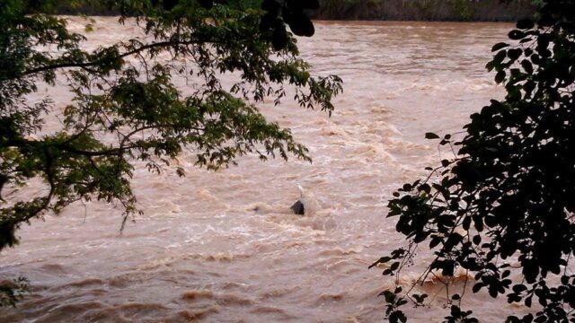 Foto: Júnior Cardoso / PiraNOT Piracicaba
