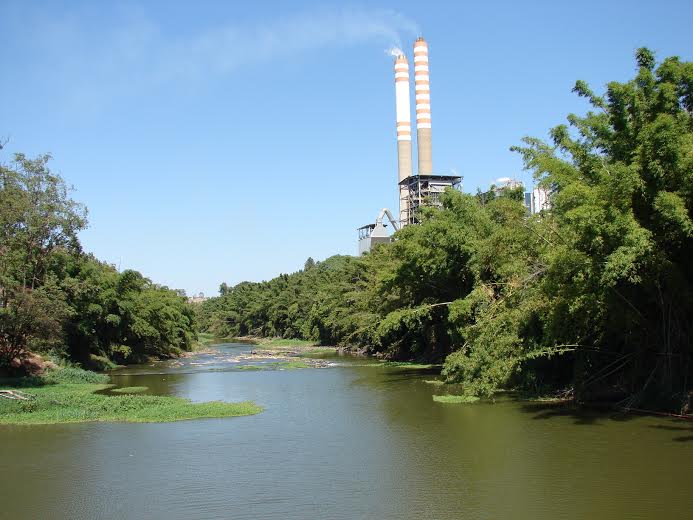 Americana faz vistoria e plantio de árvores às margens do rio Piracicaba