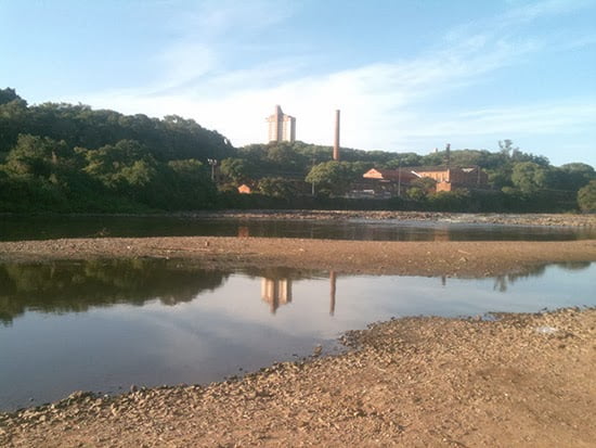 Sem água, vegetação invade o Rio Piracicaba