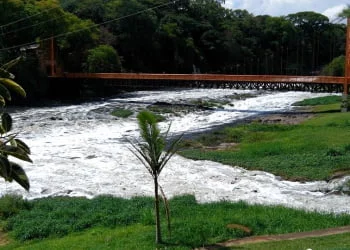 Com chuva na regiÃ£o pedras do Rio Piracicaba praticamente desaparecem, mas cheiro forte ainda Ã© problema - Foto: JÃºnior Cardoso