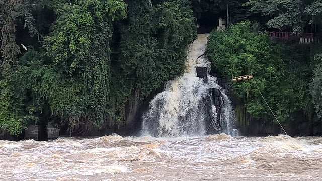 Foto: Junior Cardoso