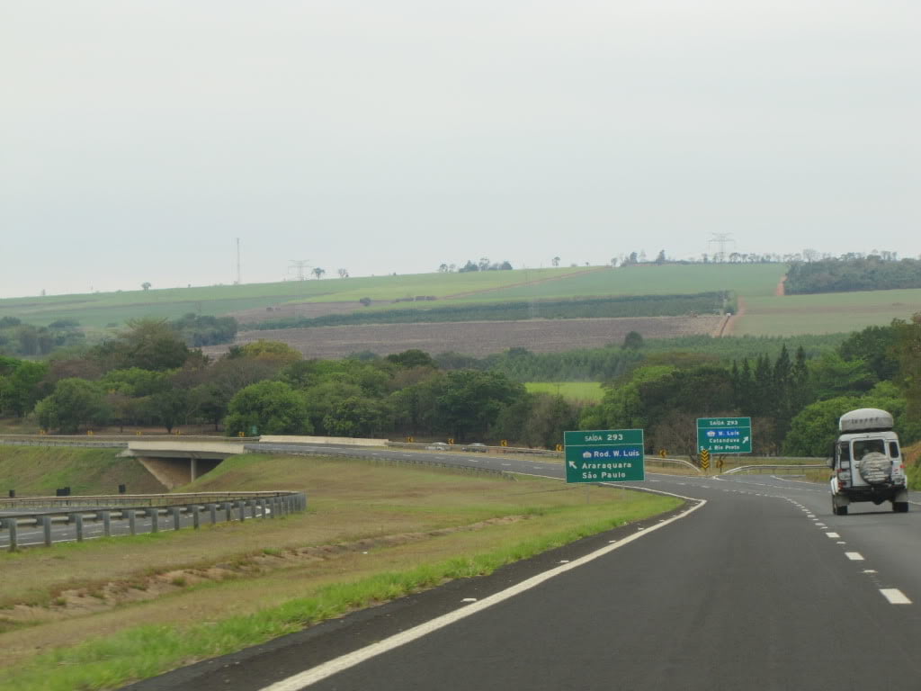 Idoso morre atropelado