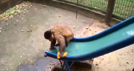 Foto: ReproduÃ§Ã£o / Facebook