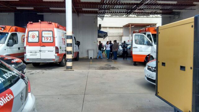 Foto: Valter Martins / PIRANOT