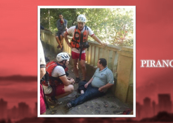 Foto: Reprodução / WhatsApp