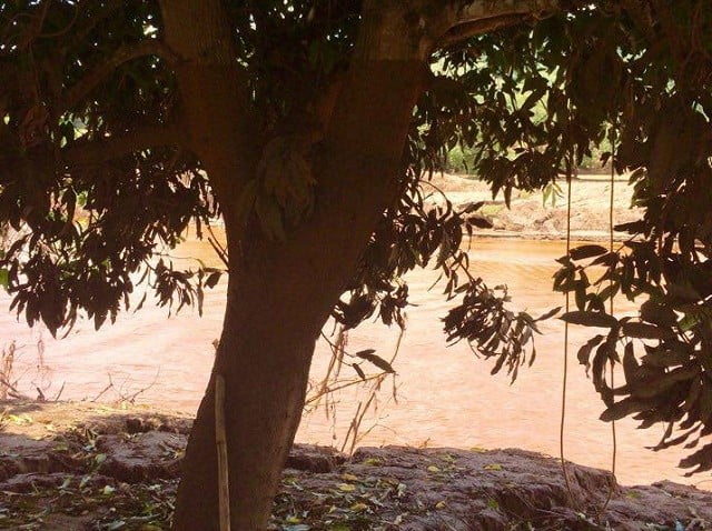 Foto: Divulgação / Priscila França e Cristiane Martins