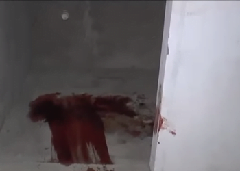 Foto: Lucas Claro / rapidonoar.com.br