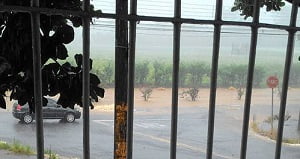 Foto: Maiara Barbetta - Reprodução / Facebook