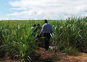 Foto: Tonny Machado / RÃ¡dio RaÃ­zes FM