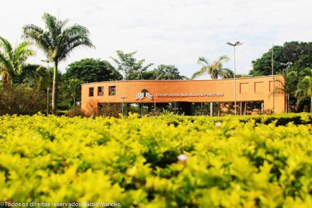 Foto: DivulgaÃ§Ã£o