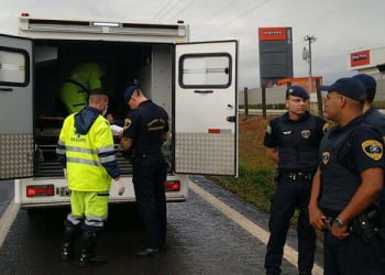 Foto: Wagner Romano / PIRANOT