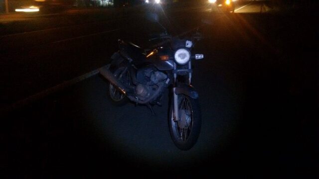 Foto: Wagner Romano / PIRANOT