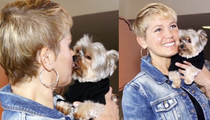 Conheça os bichos de estimação dos famosos